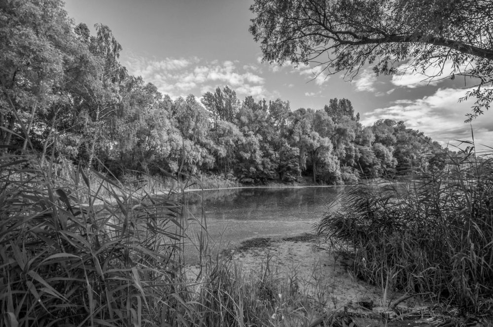 Photograph by Юрий Яковлевич