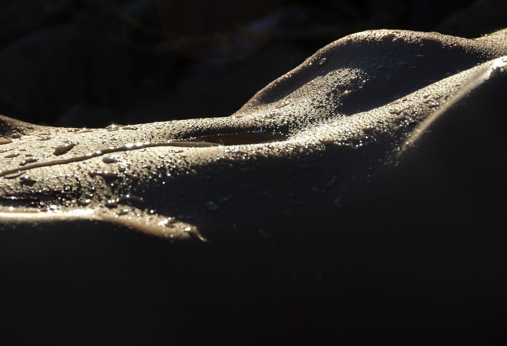 Photograph by София Носкова