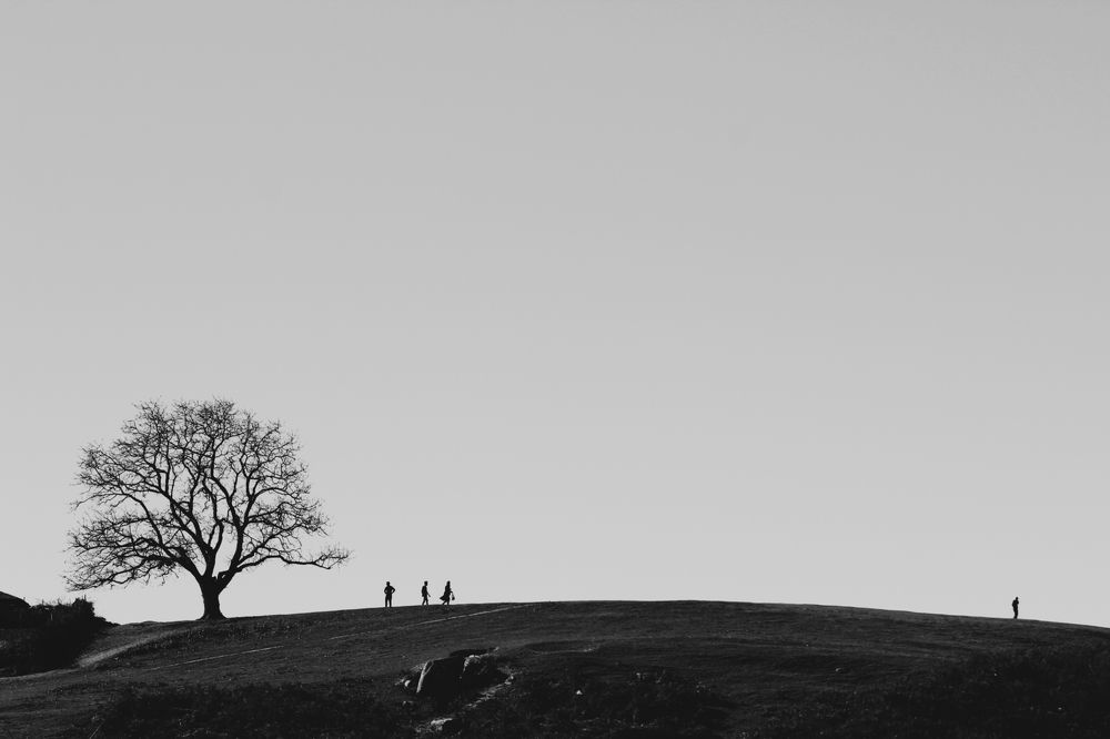 Photograph by Mohammad Moradi