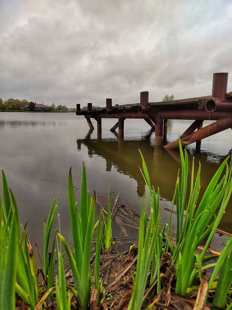 Photograph by Светлана Балуцкая