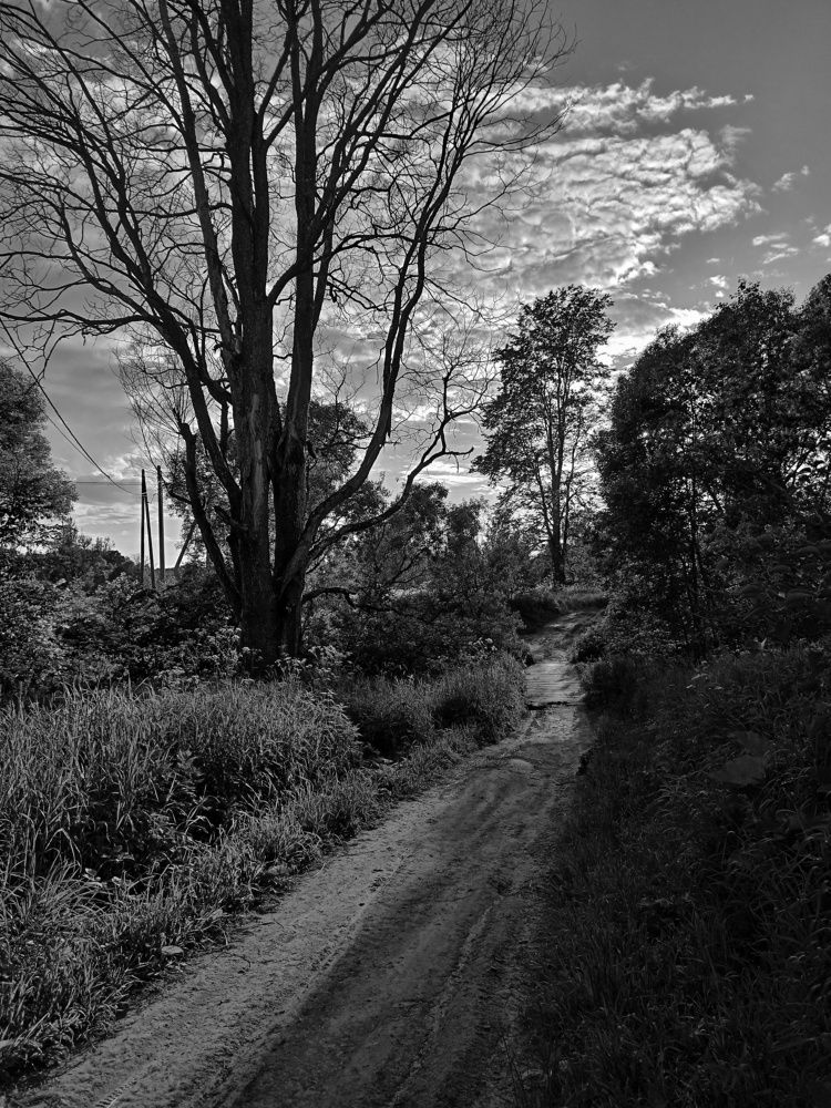 Photograph by Марина Рукавичко