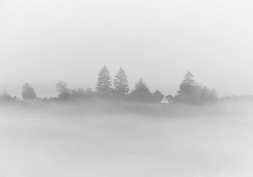 Photograph by Peter Hrubovsky