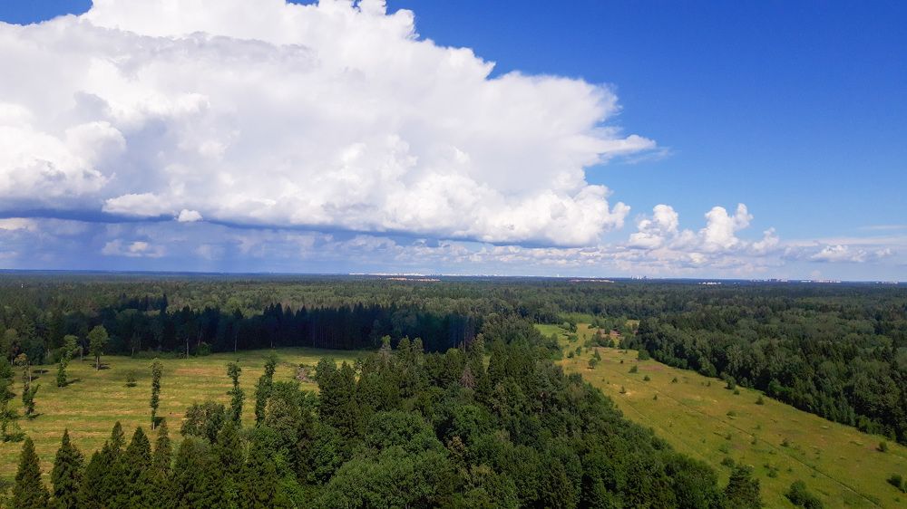 Photograph by  Vladimir