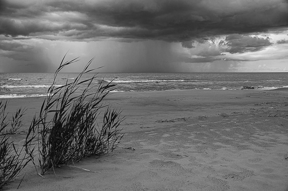 Photograph by Игорь Овсиенко