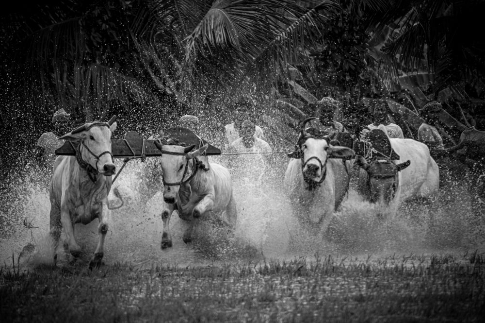 Photograph by Sharad Mansharamani