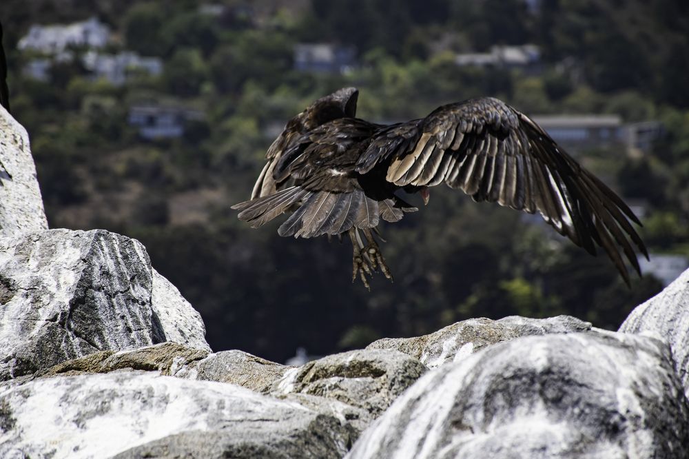 Photograph by Eduardo Vega