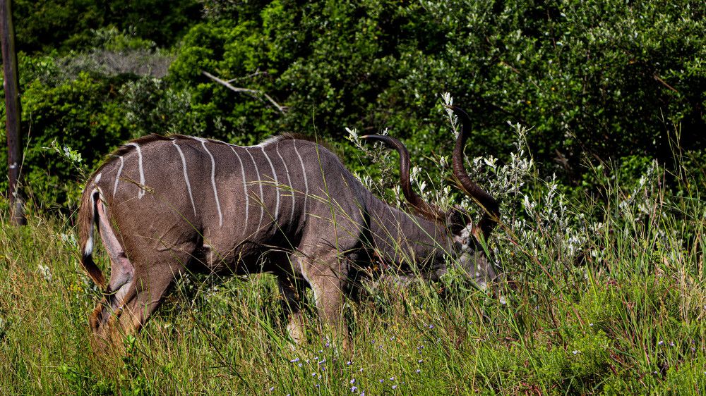 Photograph by Manono Photography