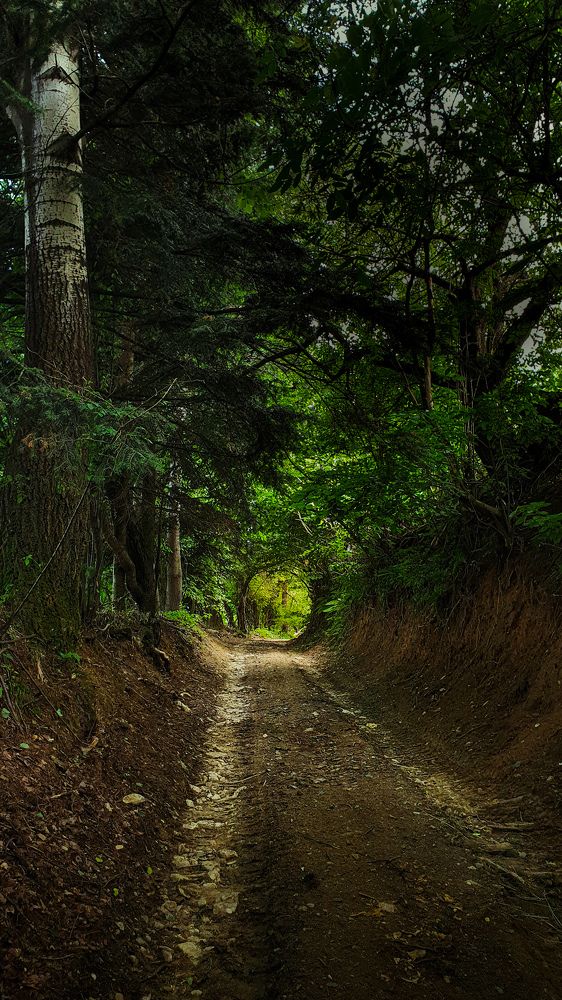 Photograph by Eva Lihor-Laza