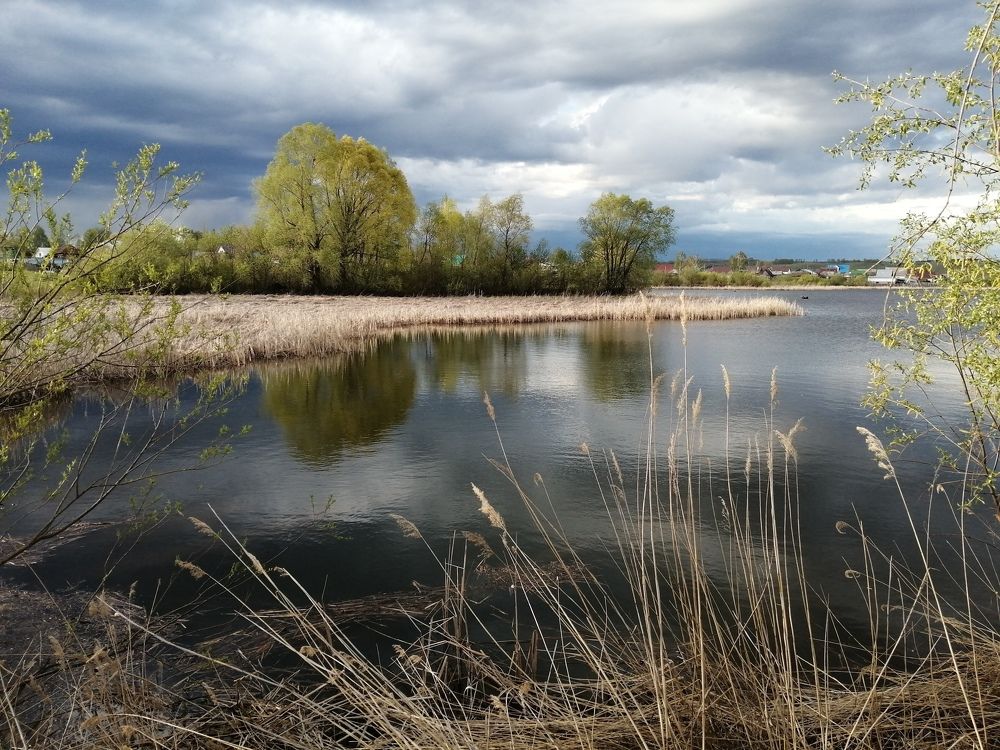 Photograph by Наталья Дубовкина