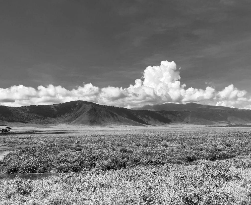 Photograph by Ольга Зуева