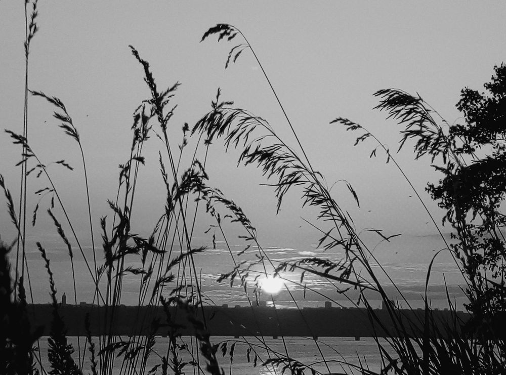 Photograph by Евгений Артемьев