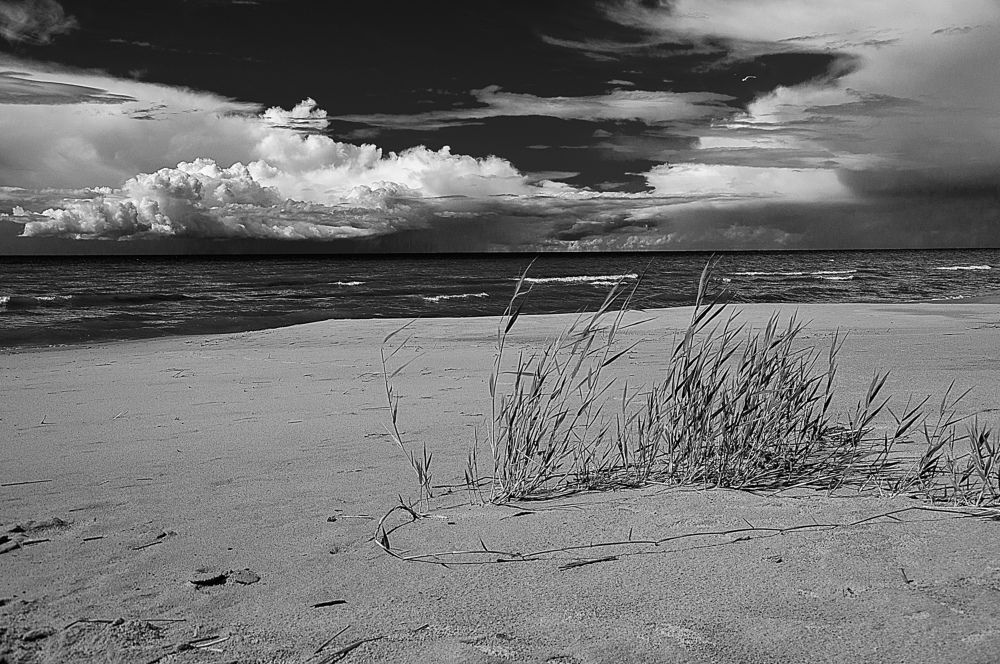 Photograph by Игорь Овсиенко