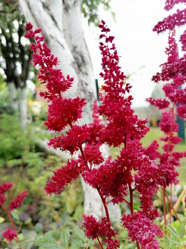 Photograph by Ирина Забродина