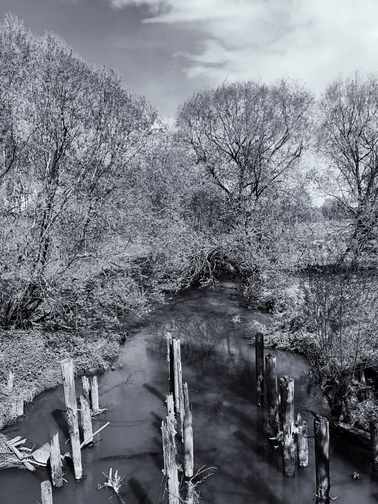 Photograph by Марина