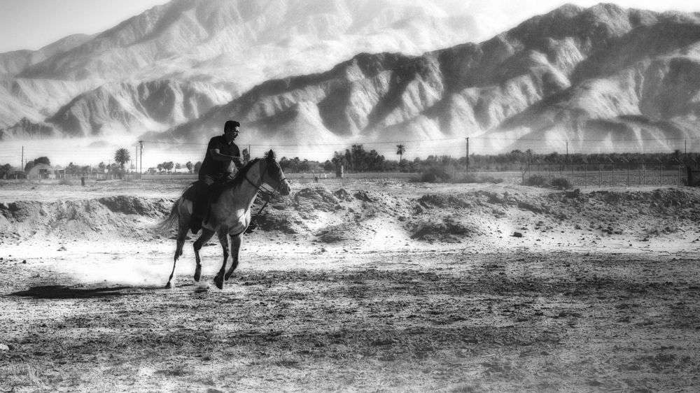 Photograph by Okselenko Oleg