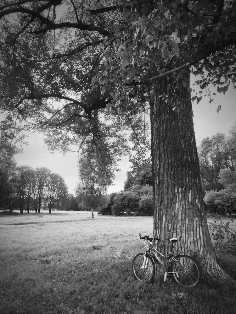 Photograph by Ирина Сыровежкина