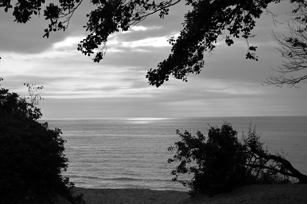 Photograph by Ольга Шевцова