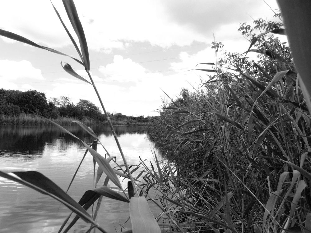 Photograph by Ольга Шевцова