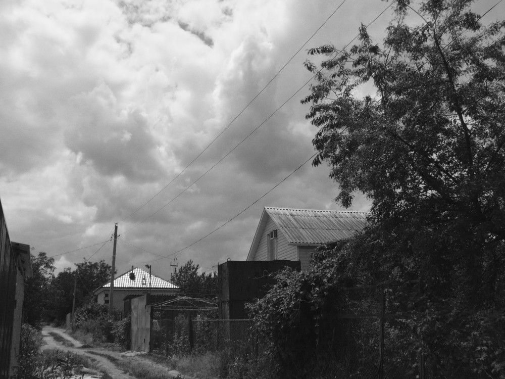 Photograph by Ольга Шевцова