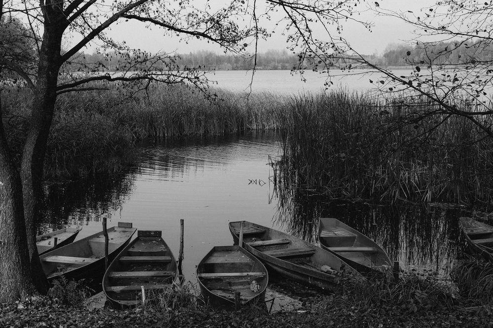 Photograph by Ольга Додонова