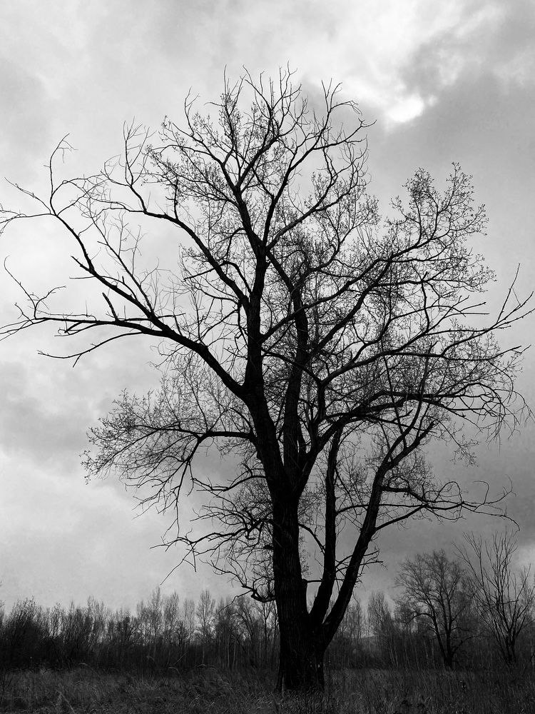 Photograph by Нежданна Казаченко