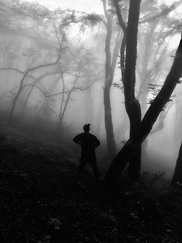 Photograph by mahshid