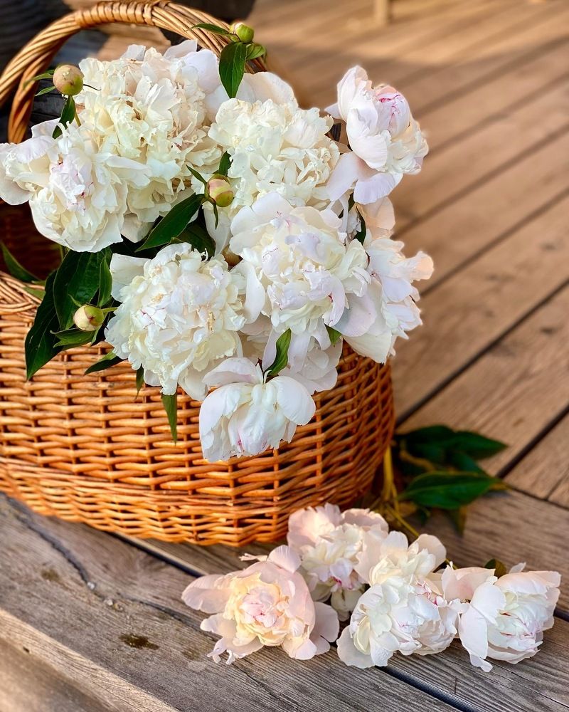 Photograph by Татьяна Маслова