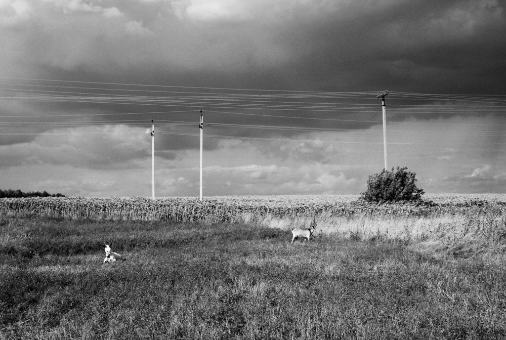 Photograph by Татьяна Аршинова