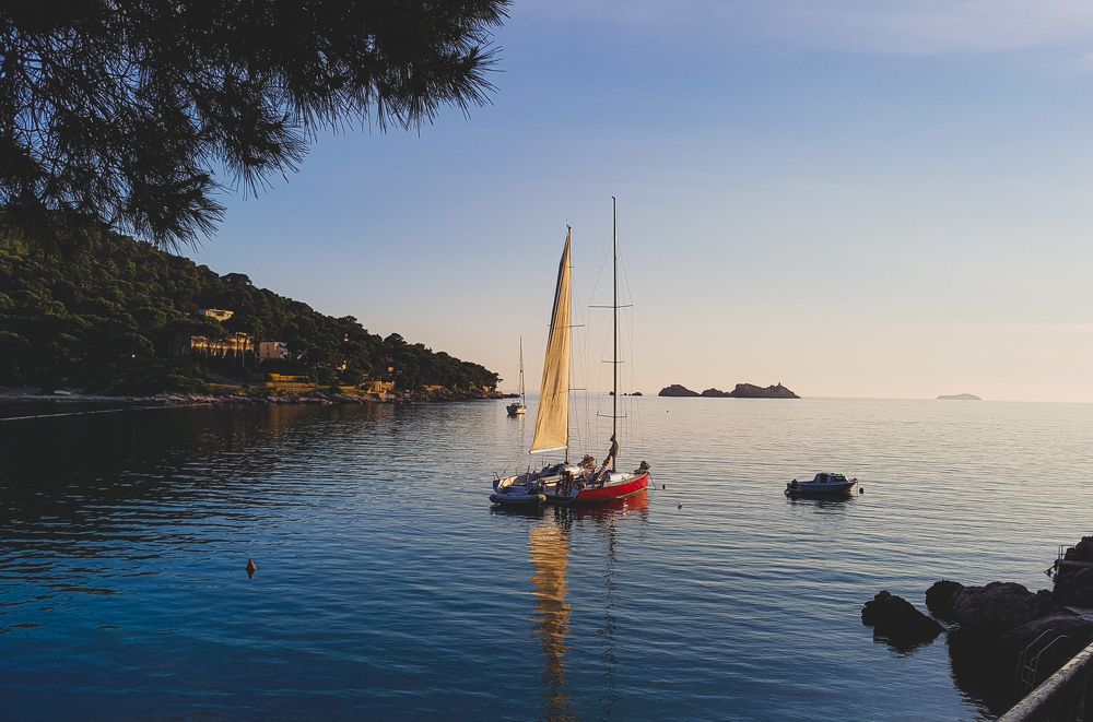 Фотография автора Petar Metić