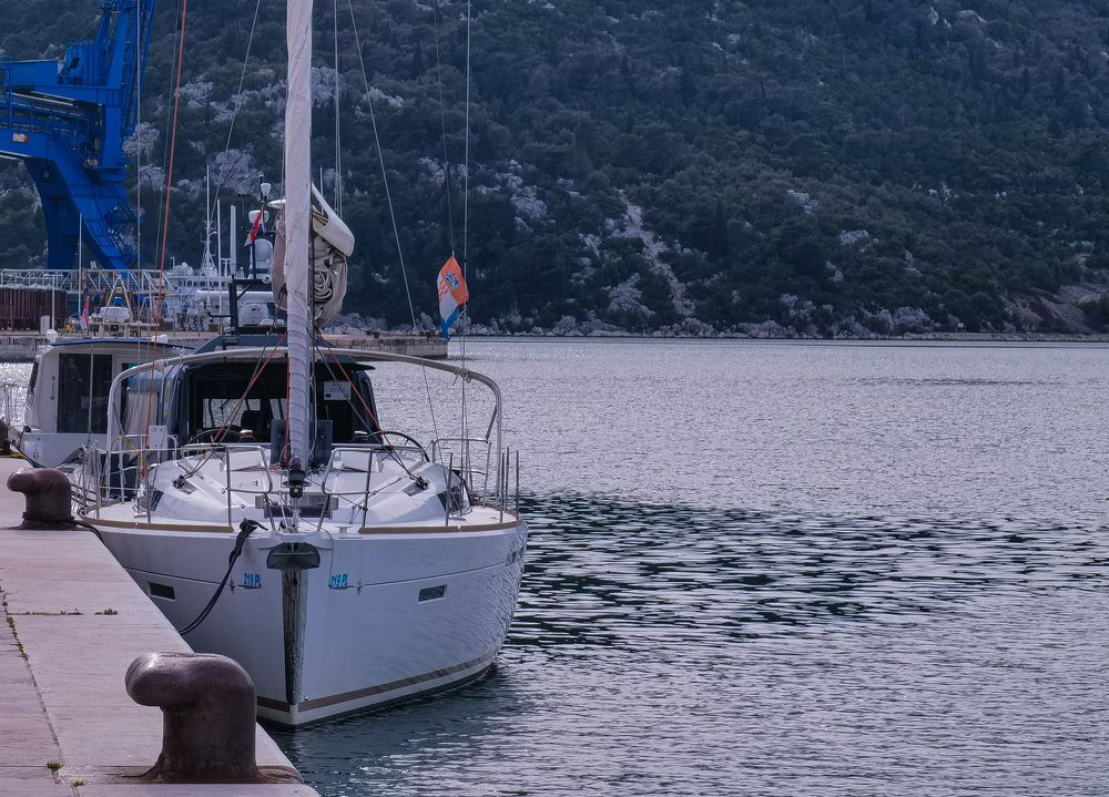 Фотография автора Petar Metić