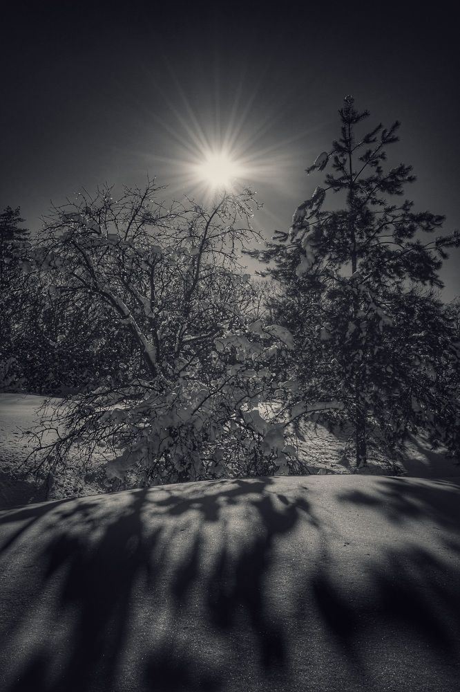 Photograph by Виктория Селютина