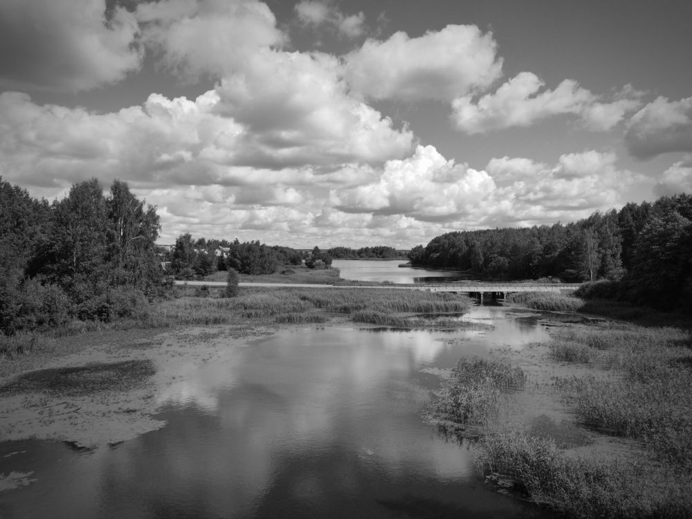 Photograph by Ирина Сыровежкина