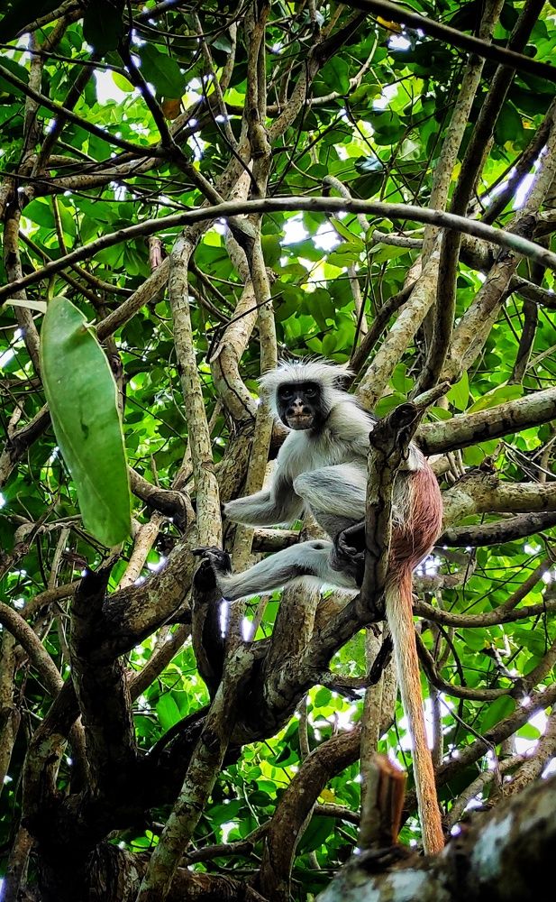 Photograph by Наталья Рау