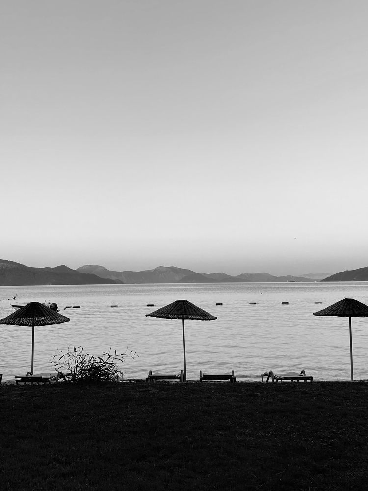 Photograph by Ирина Сорока