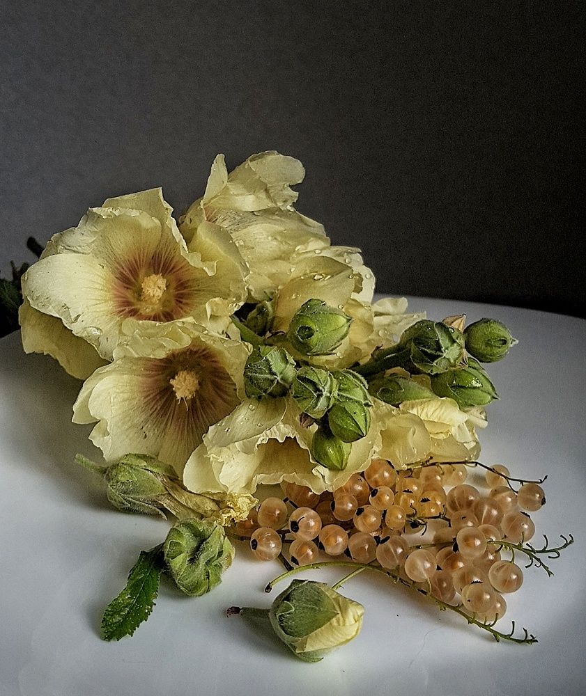 Photograph by Инга Сабанова