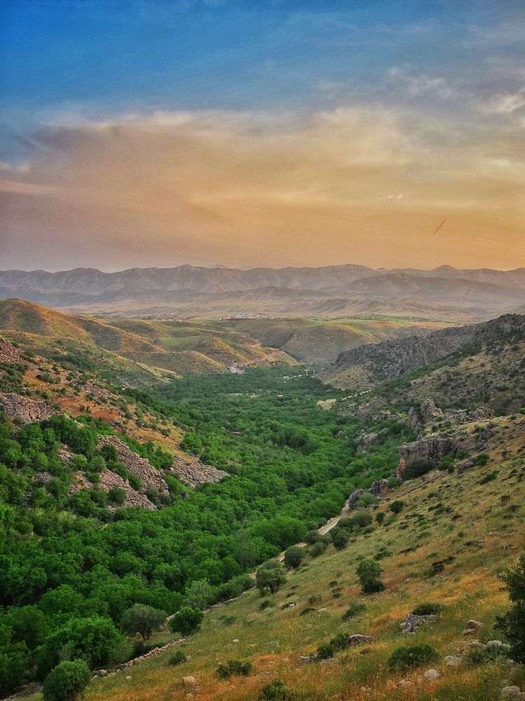 Photograph by Mohammad Sadegh Rezaei