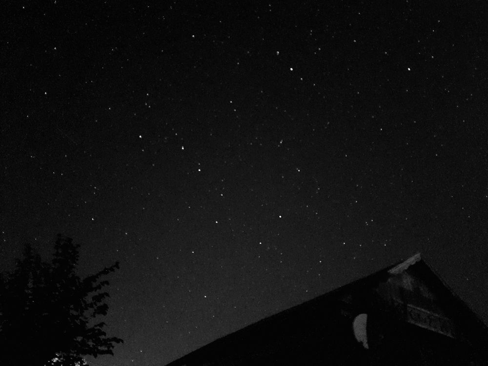 Photograph by Эльза