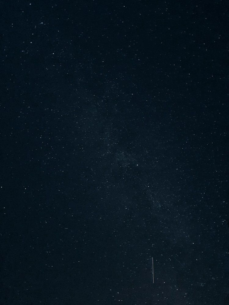 Photograph by Эльза