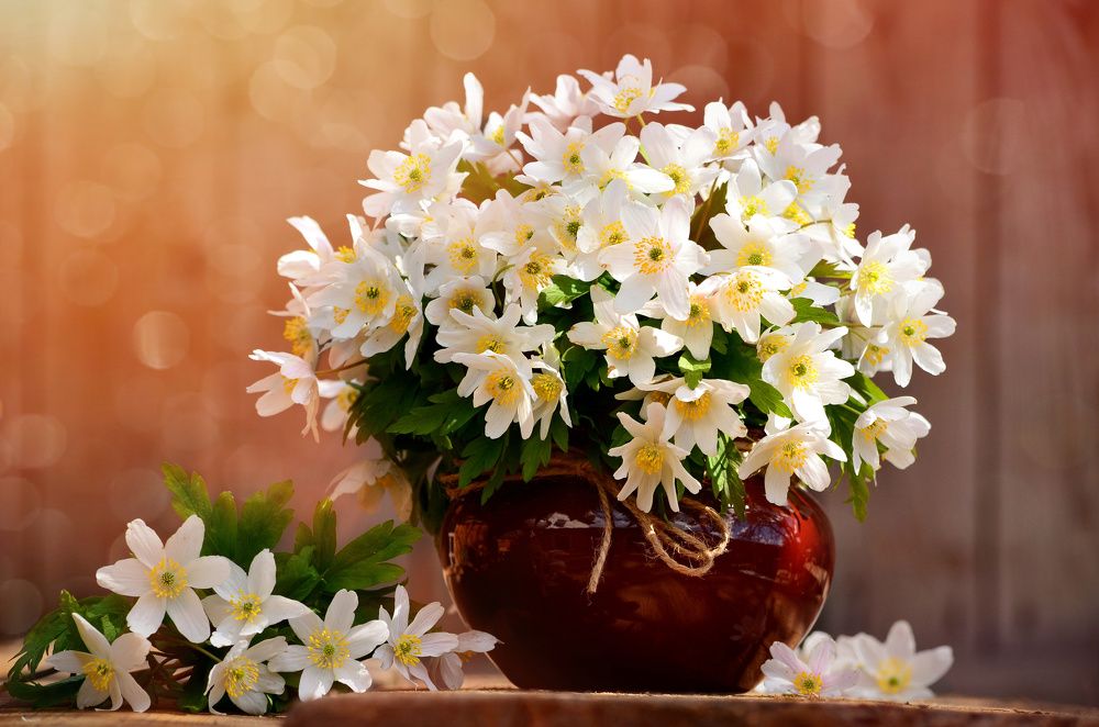 Photograph by Ирина Сыровежкина