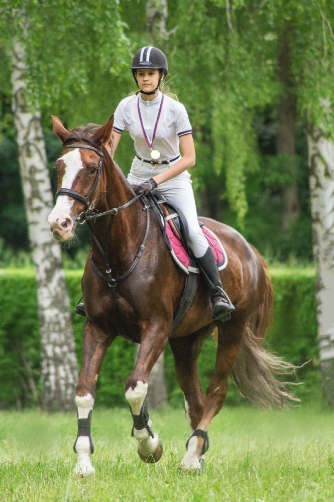 Photograph by паутинник фиолетовый