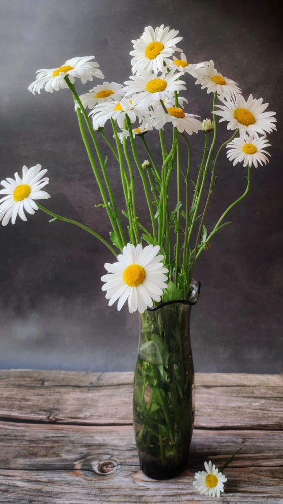 Photograph by Глушакова Татьяна Николаевна