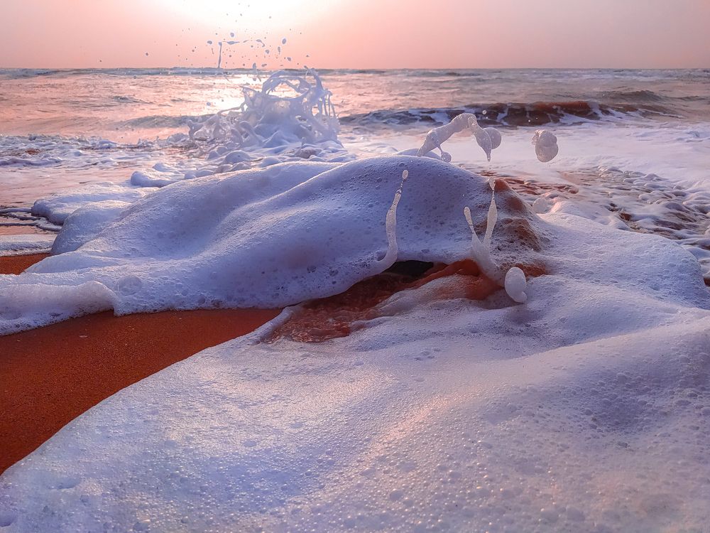 Photograph by abdollah sarvari