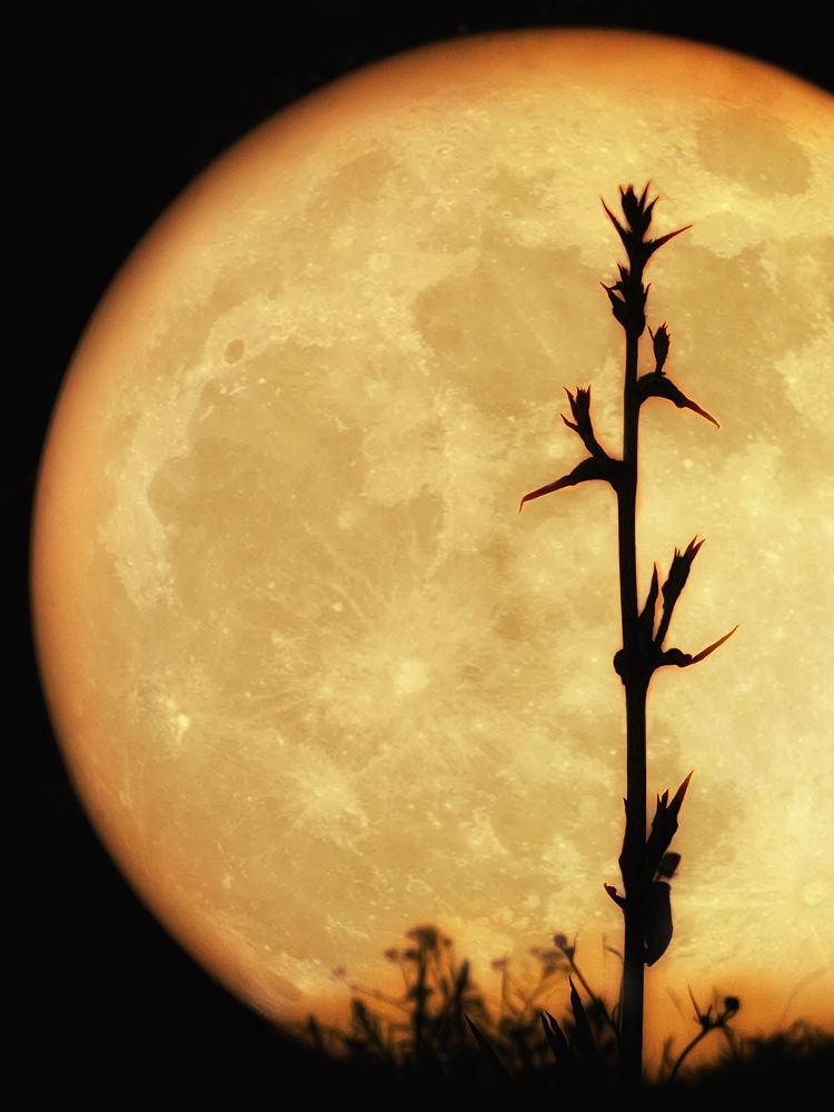 Photograph by Татьяна Беркович