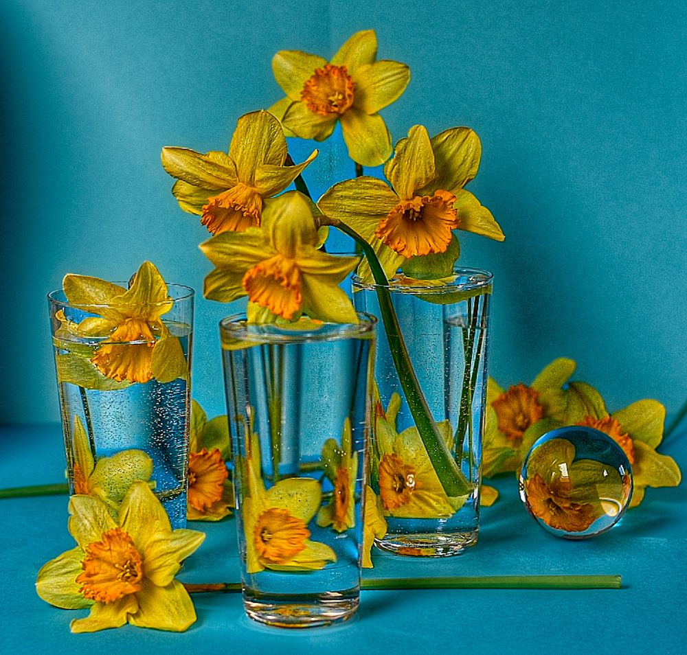 Photograph by Eva Lihor-Laza