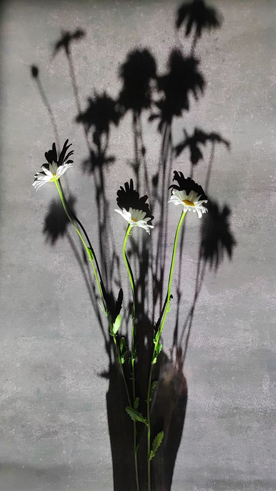 Photograph by Глушакова Татьяна Николаевна