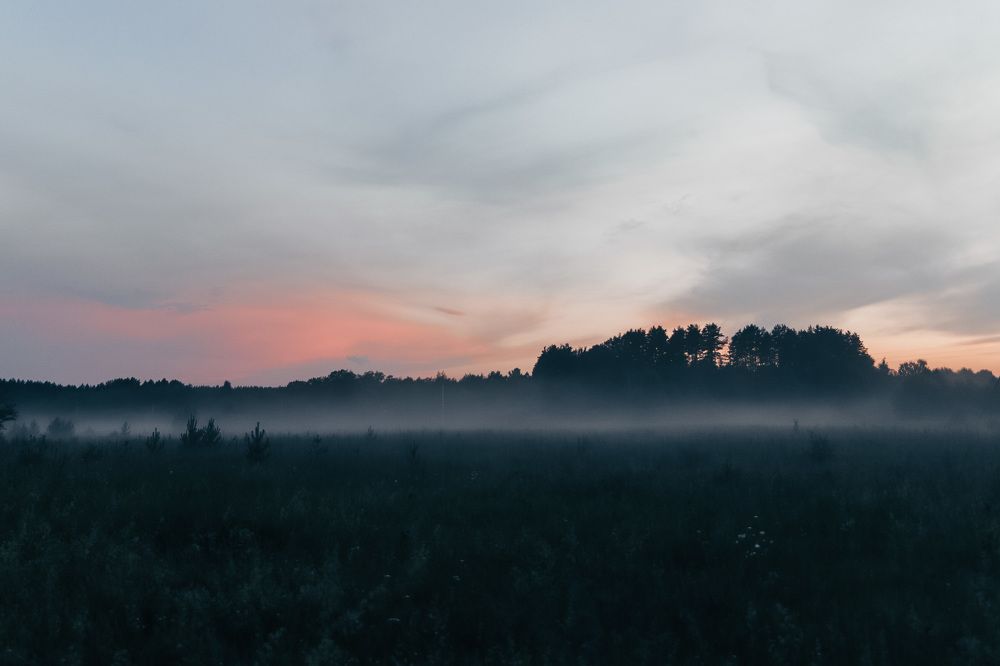 Рассветы - туманы