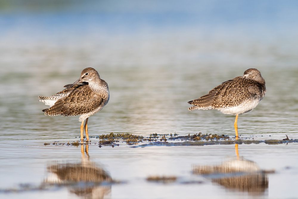 Photograph by Павел Краснослободцев