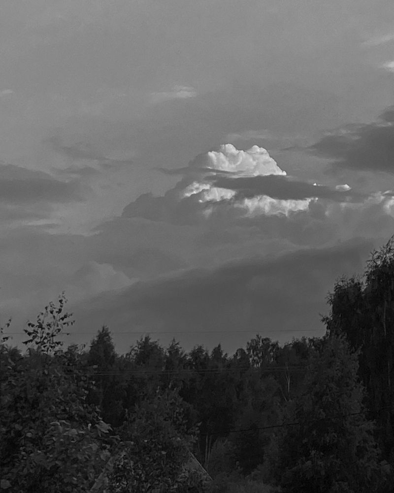 Photograph by Алла Творогова