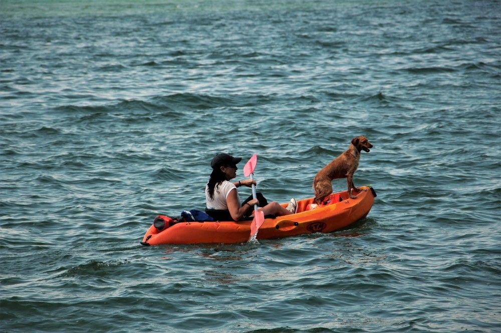 Photograph by Людмила Бутова