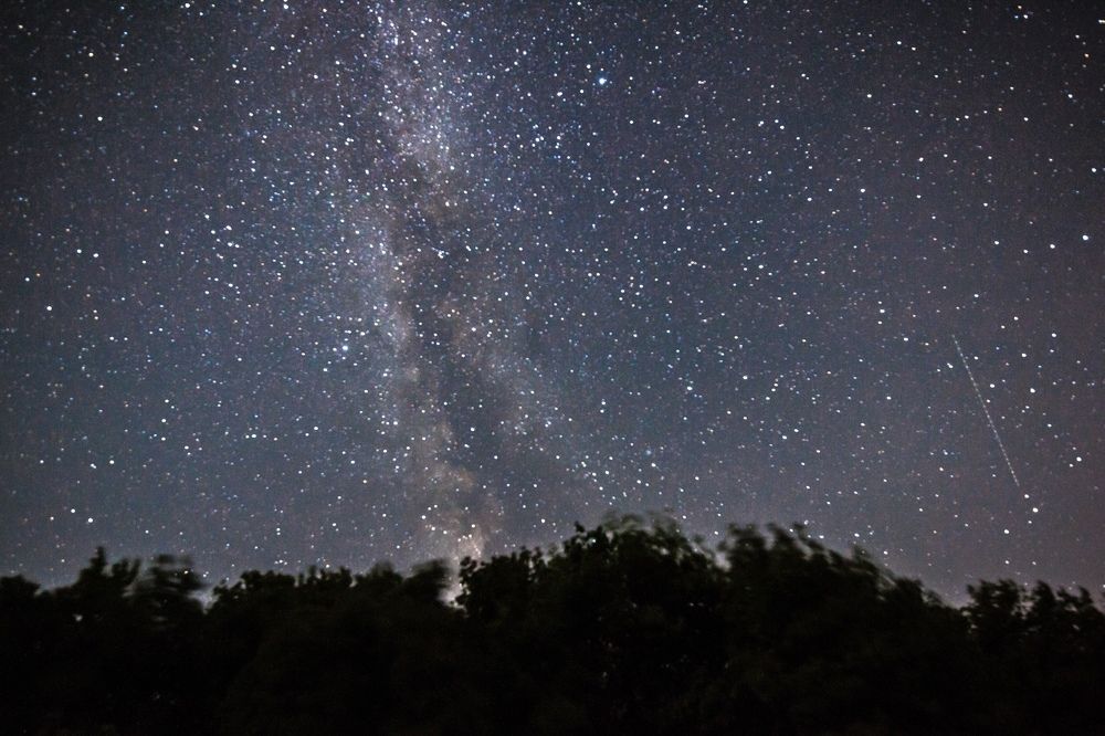 Photograph by Сагдиева Эльвира